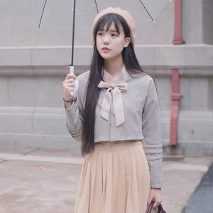 Chinese traditional costume Hanfu suit with butterfly embroidery